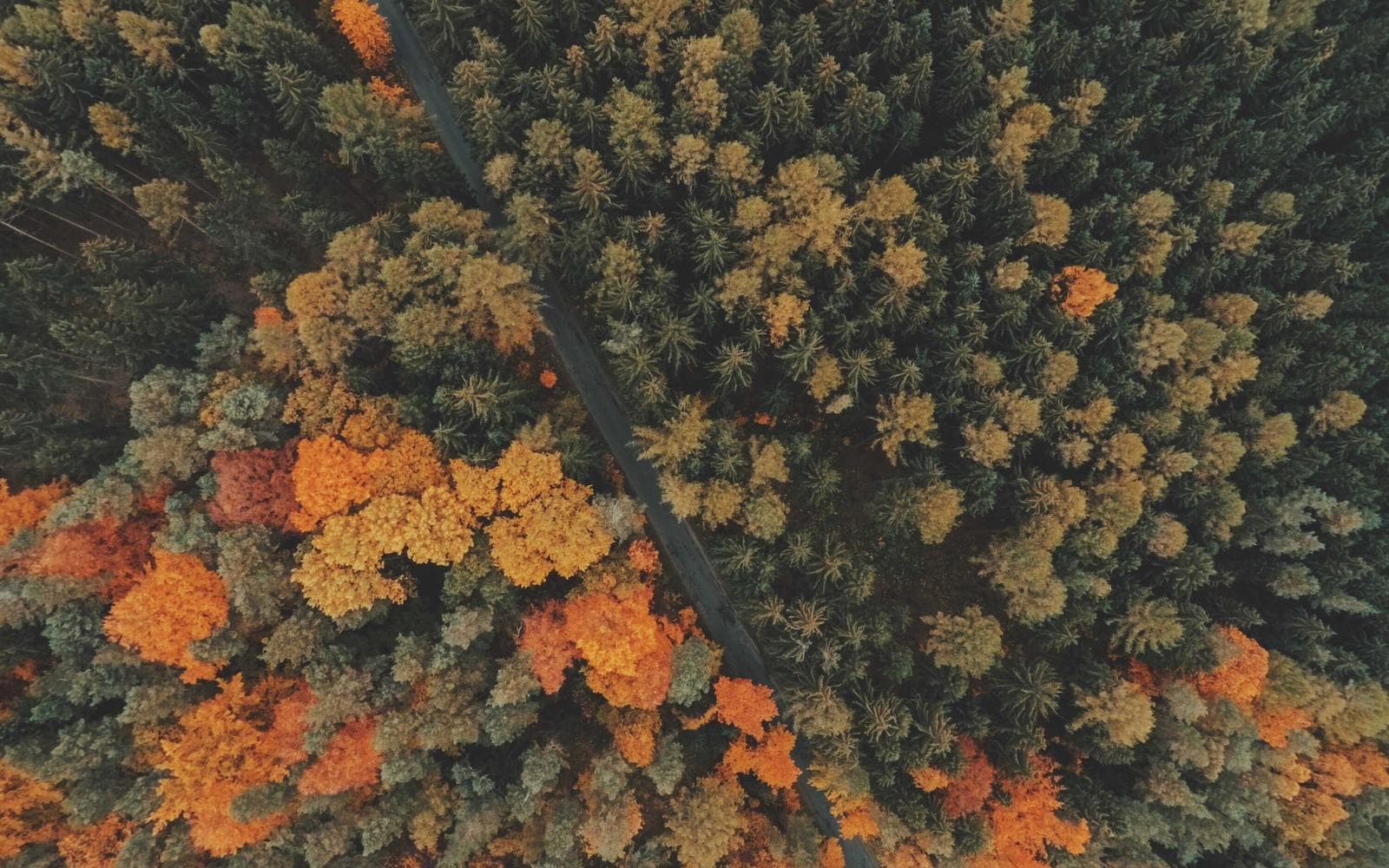 돌산대교 야경