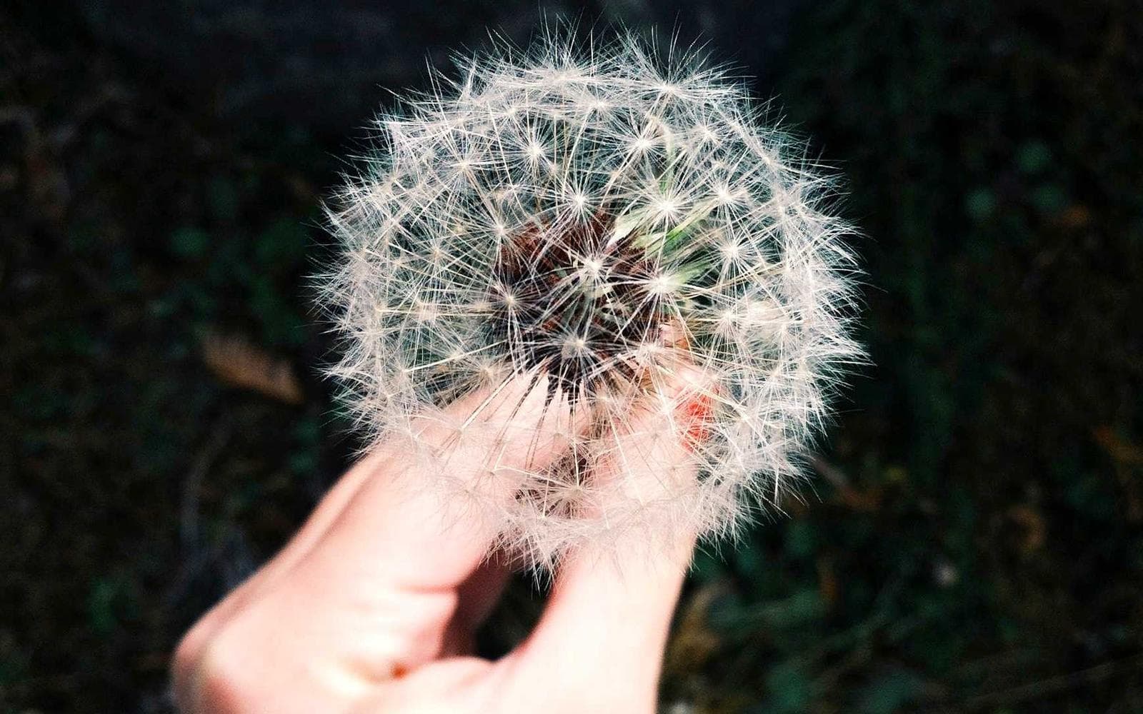 주왕산 저녁 산책로
